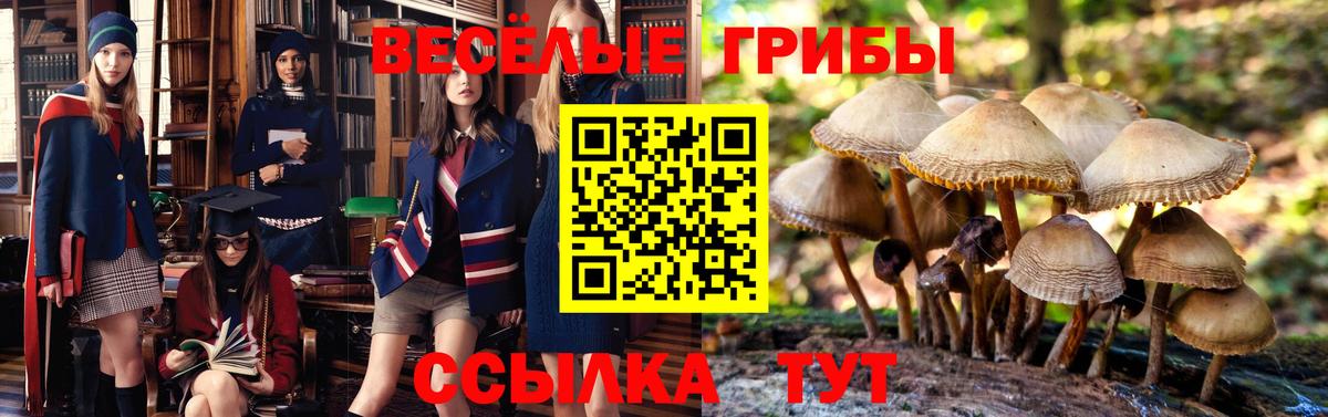Галлюциногенные грибы мицелий  Галлюциногенные грибы прущие грибы  Вход с VPN  Кумертау 