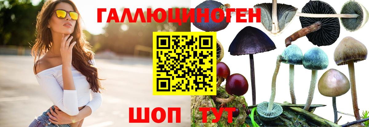 Галлюциногенные грибы Cubensis Кумертау
